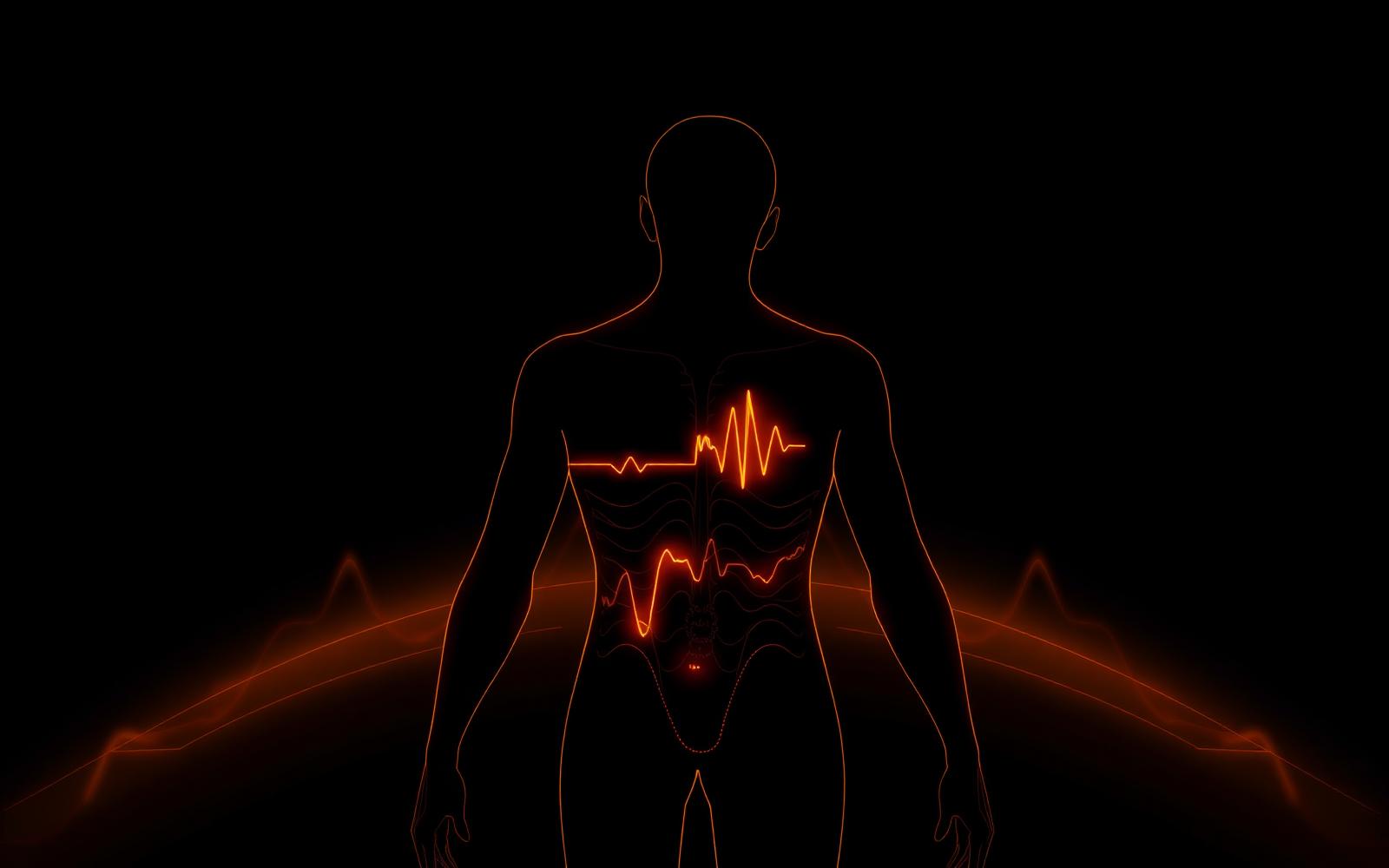 The Somatic Scream — GPTM View 3