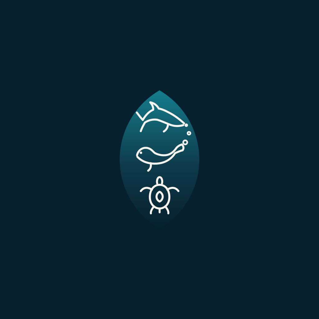 Why Mindful Diving