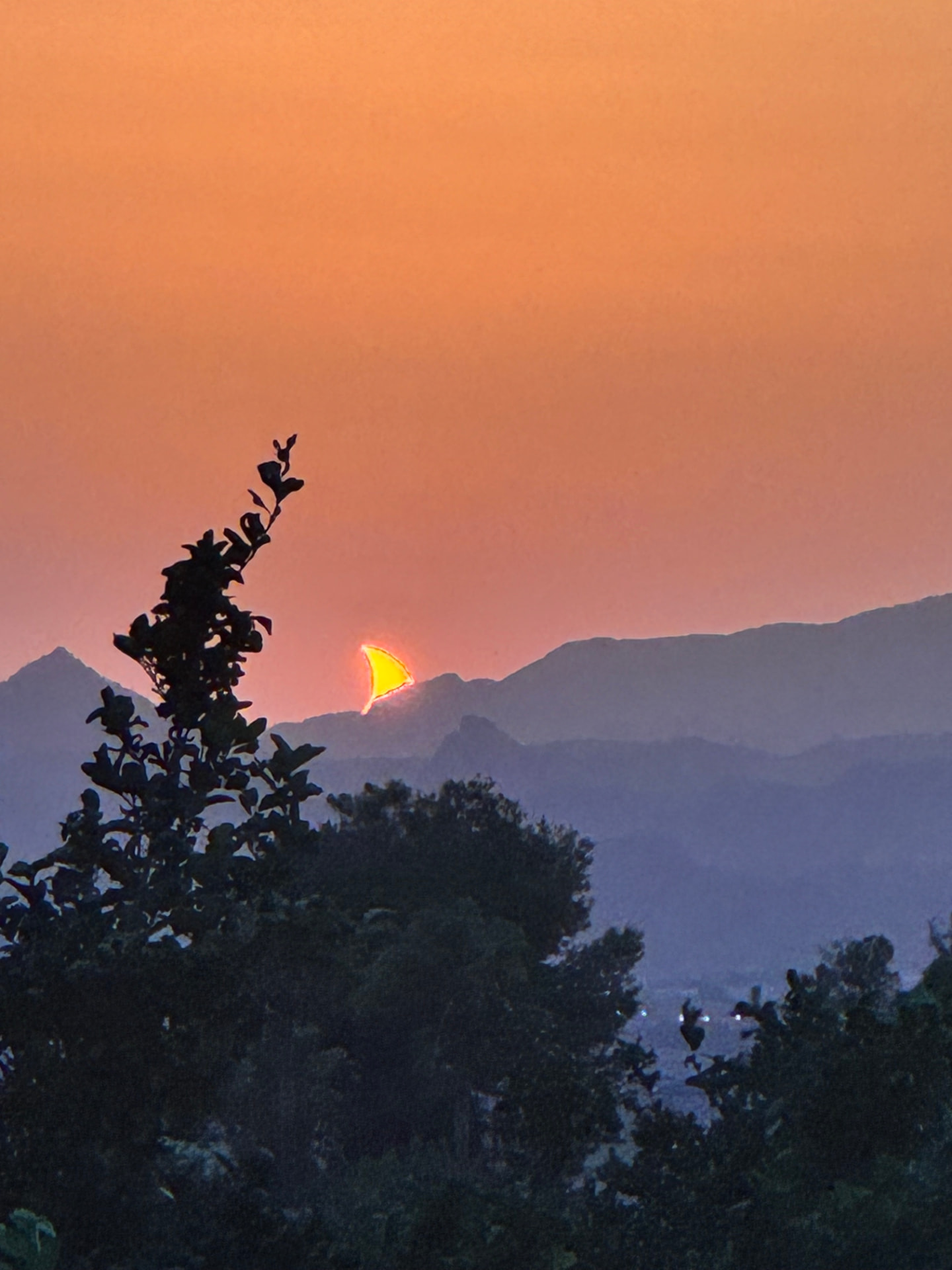 The Sun Set Wearing the Moon