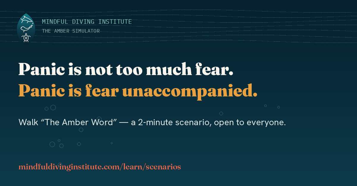 The Amber Word: Two Minutes That Change How Diving Feels