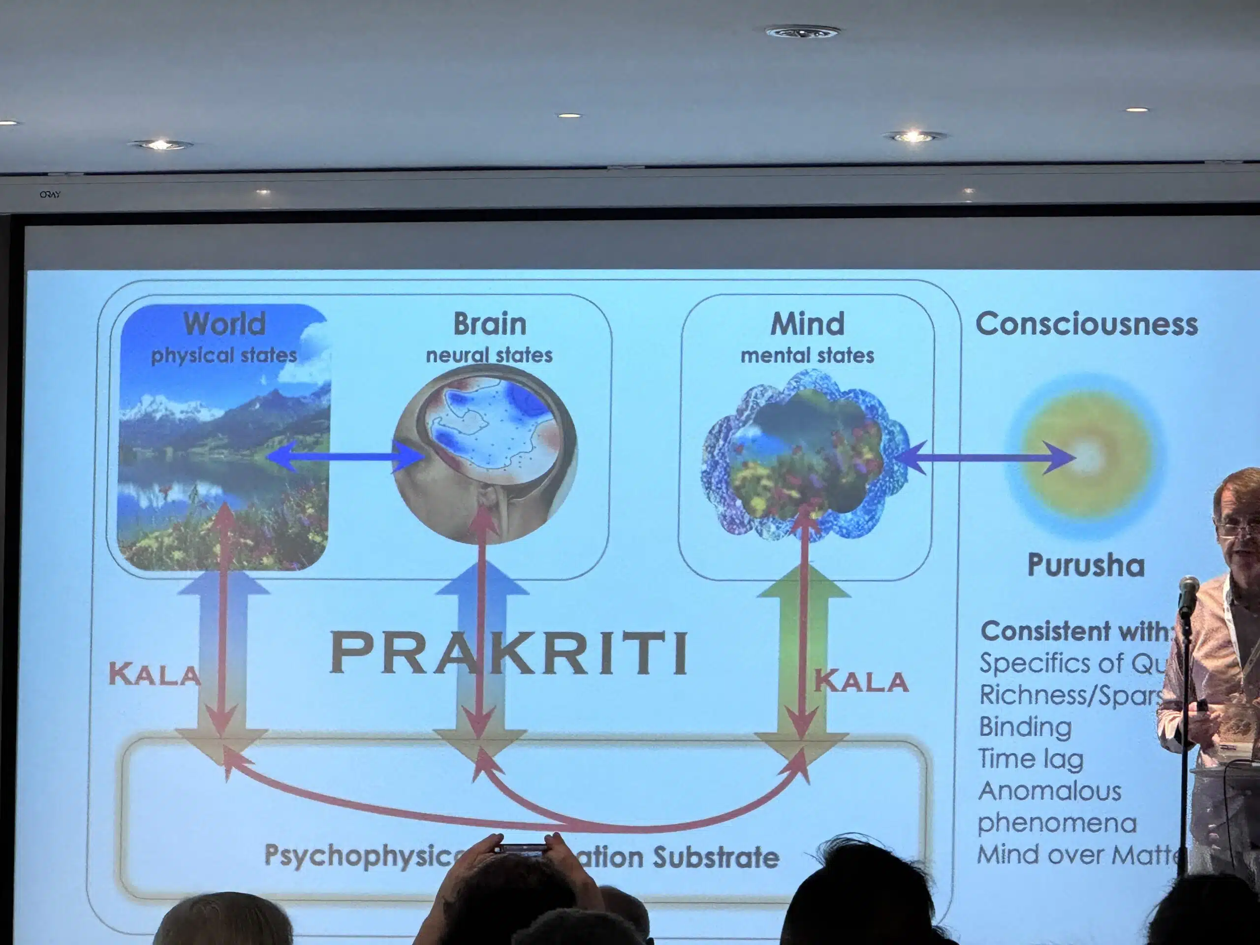 Quantum Consciousness