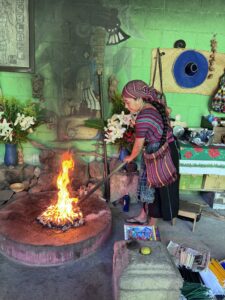 Abuela Maya and the Meta Pets Method