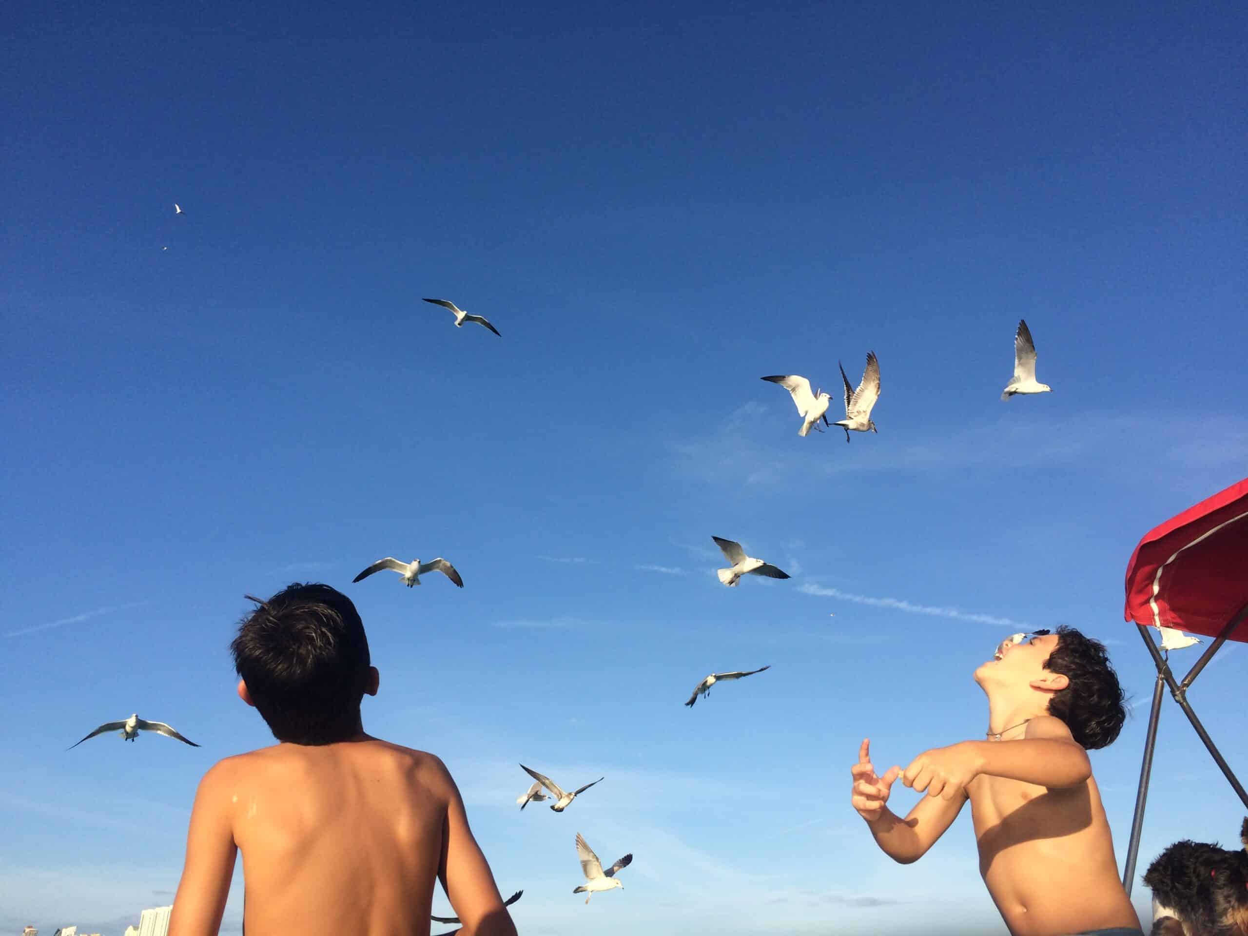 Freedom and Rebirth - 2026