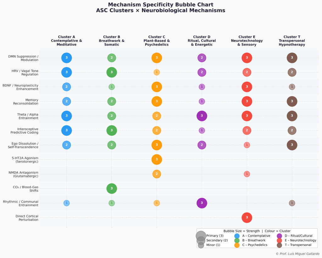 ASC_Neurobiology_Bubble von Luis Miguel Gallardo