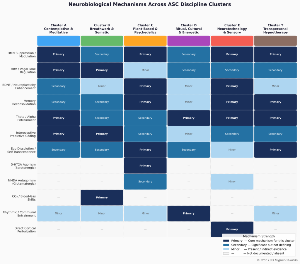 ASC_Neurobiology_Heatmap von Luis Miguel Gallardo