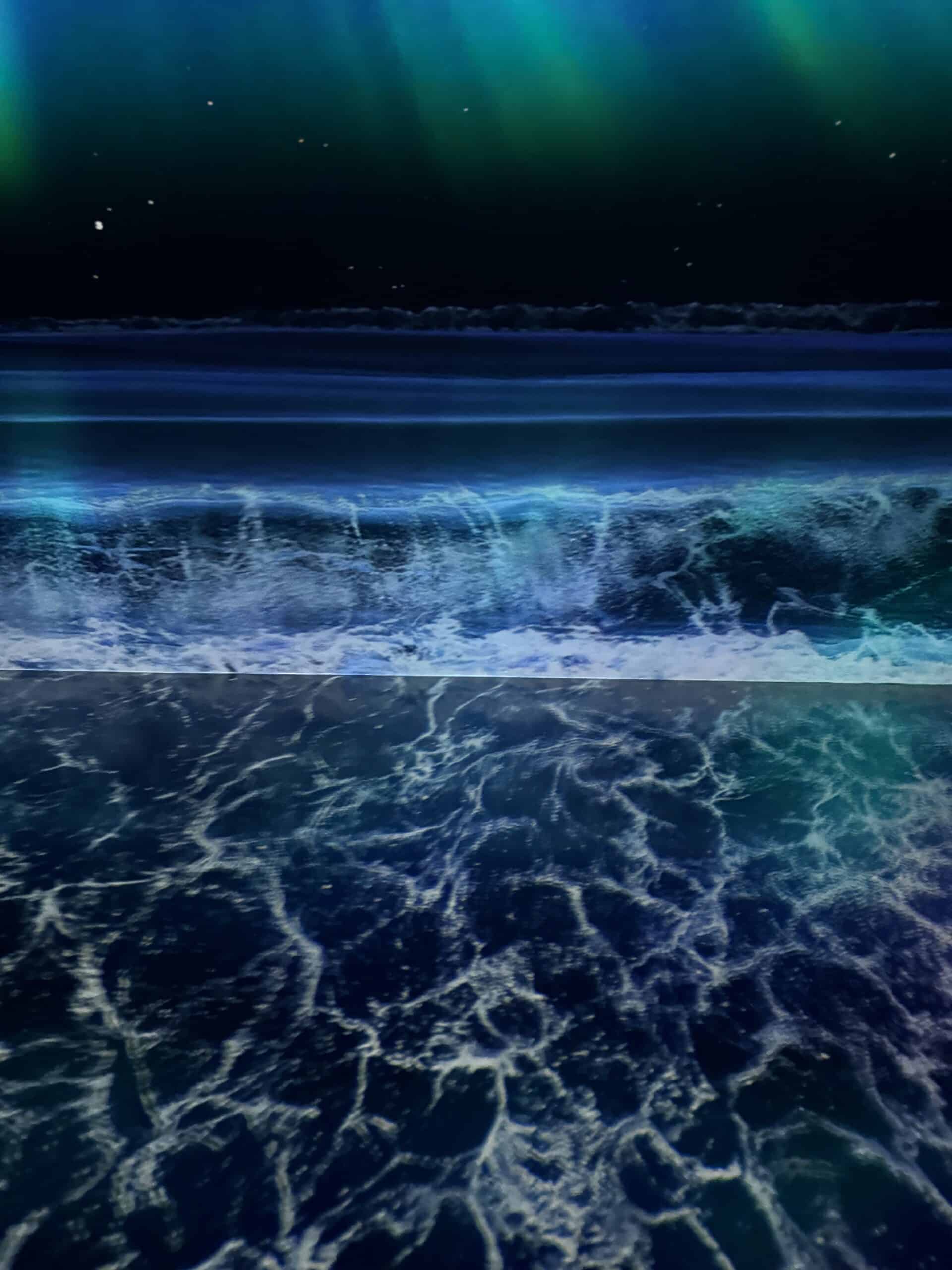 Brain Waves by Luis Miguel Gallardo
