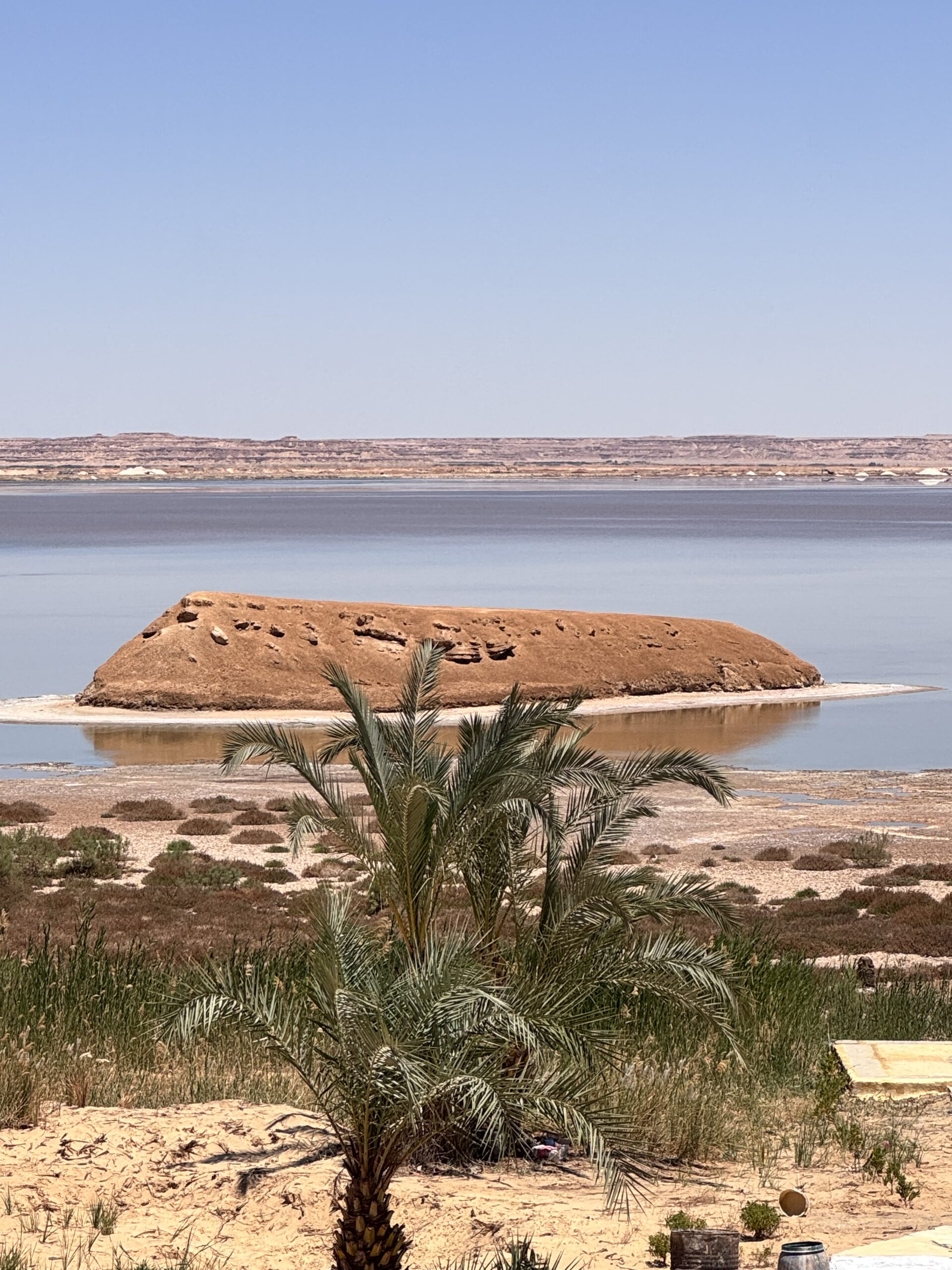 Siwa, Oasis of Happiness