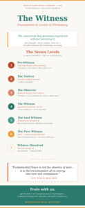 The_Witness_Infographic