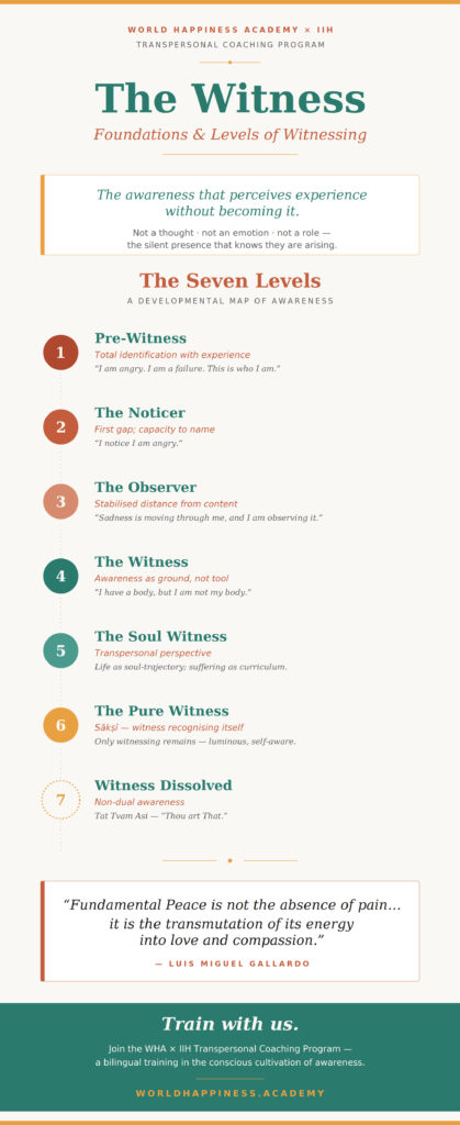 The_Witness_Infographic