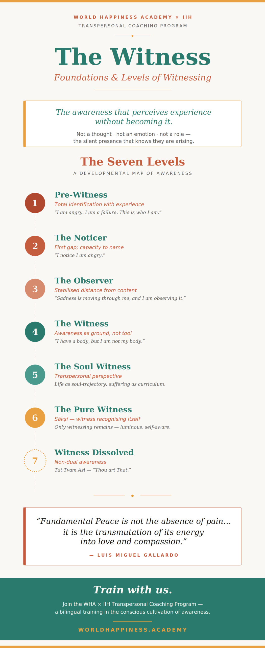 The_Witness_Infographic